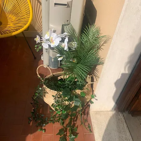 Appartement Casa Monteverdi